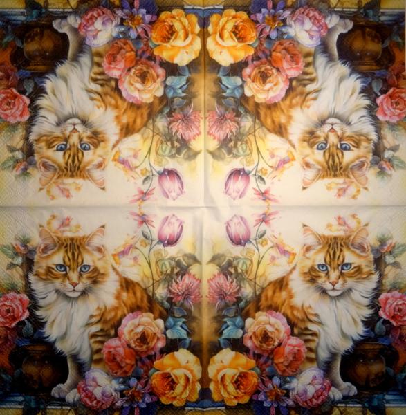 299 Katzen - 3-lagig